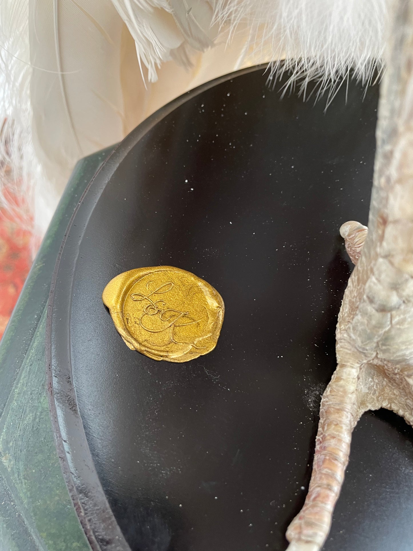 Taxidermy Snow White White Peacock