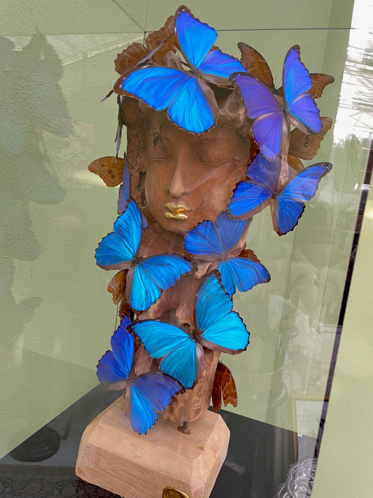 Face the Butterfly