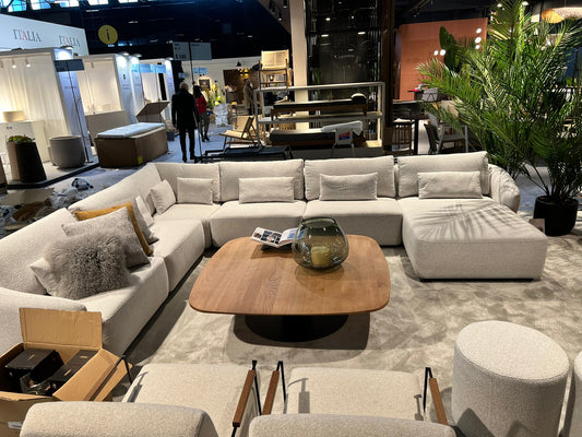 Passé Partout Mostera (stock discount)